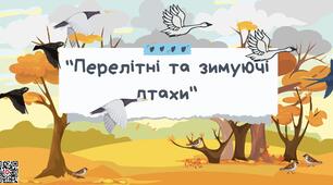 Презентація з лексичної теми «Перелітні та зимуючі птахи» для дітей дошкільного віку
