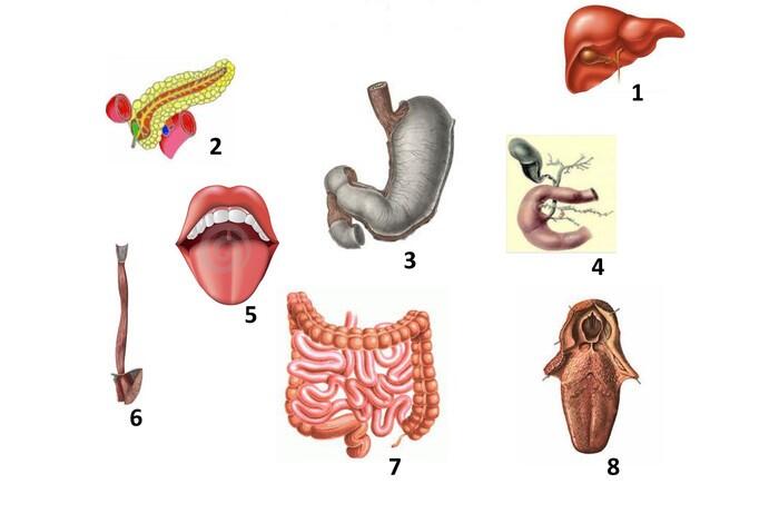 0500l0y5-089e-700x461.jpg