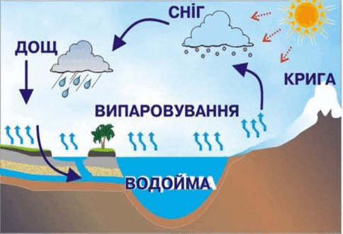 0500l5nr-b106-484x331.png