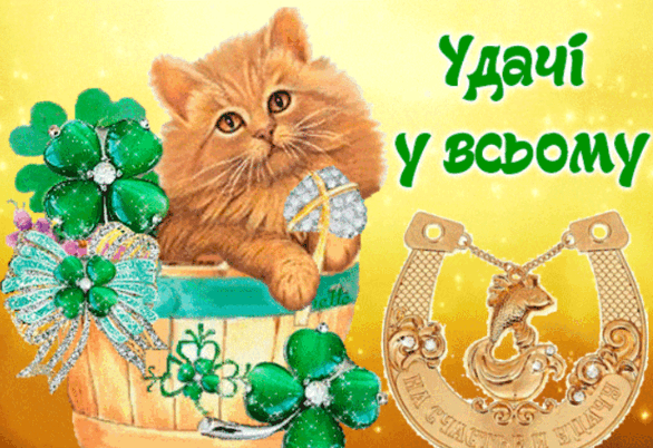 0500l5zn-d9dd-586x402.png