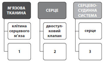 0500l60p-7246-356x218.jpg