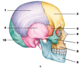 0500l671-3155-282x239.png