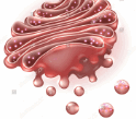 0500l691-f685-124x109.png