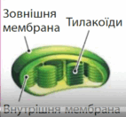 0500l6gs-bbdb-142x132.png