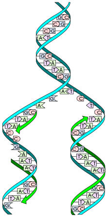 0500l6km-3779-220x443.png