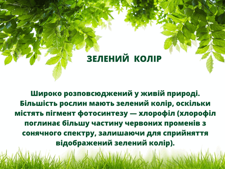 0500l6rv-e0aa-940x705.png