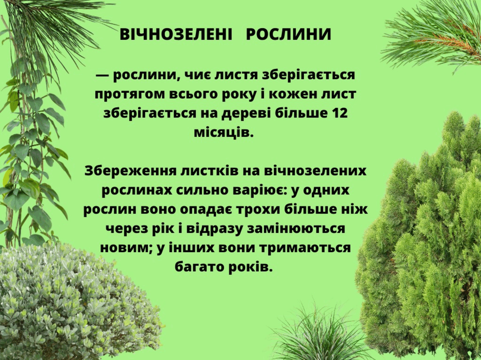 0500l6sl-1b90-940x705.png