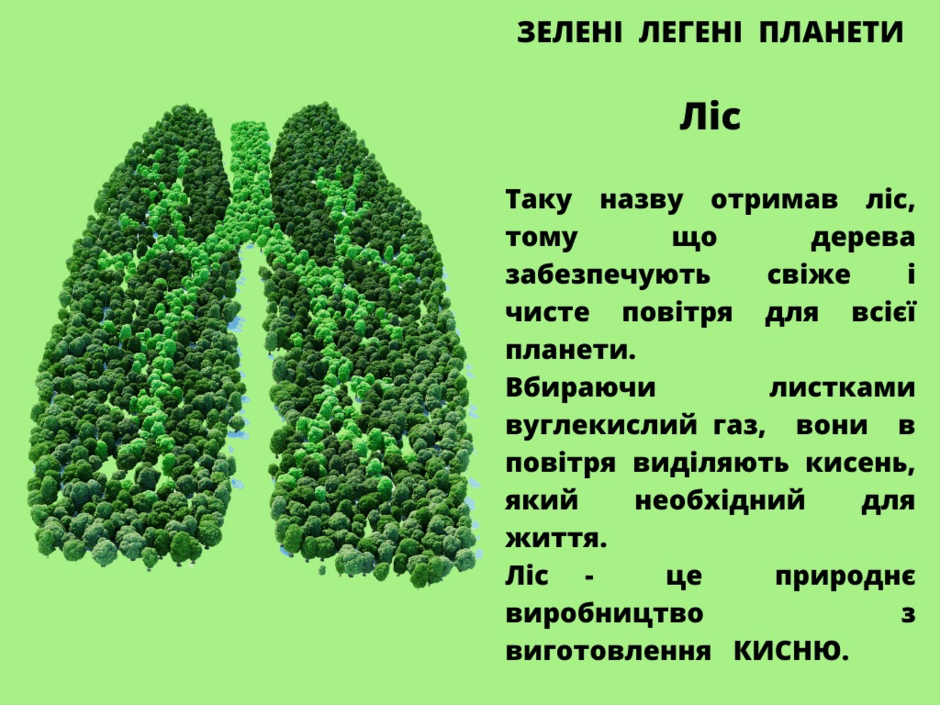 0500l6sv-84d6-940x705.png