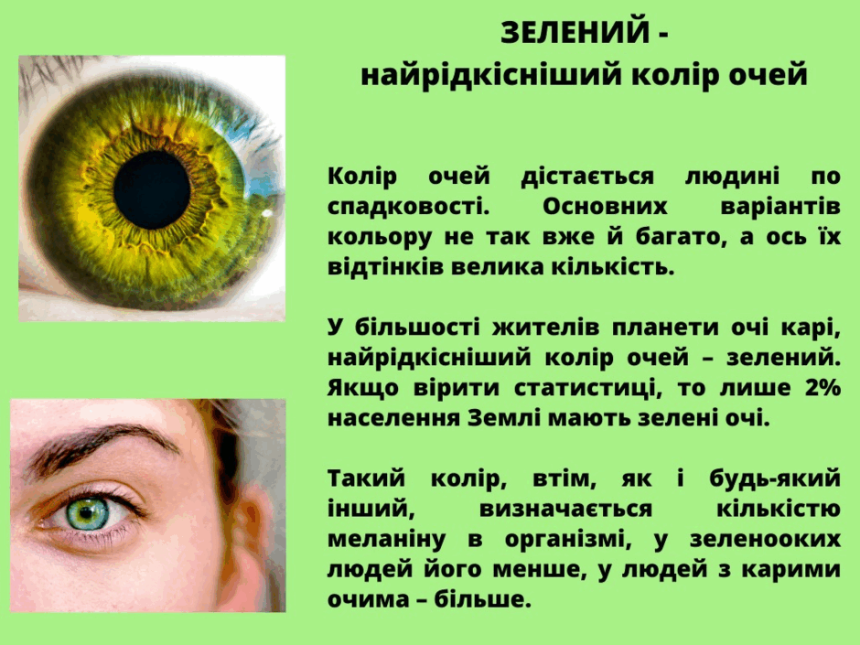 0500l6t9-6f72-940x705.png