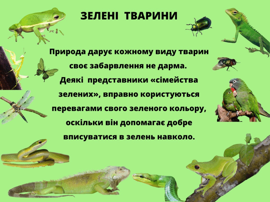 0500l6vb-9b93-940x705.png
