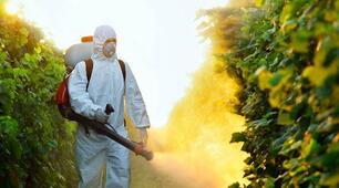 Раціональне використання пестицидів (групи пестицидів, правила використання пестицидів)
