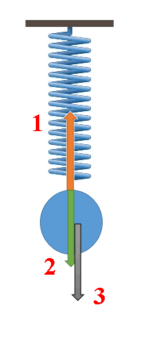 0500l7a6-0c32-225x497.png