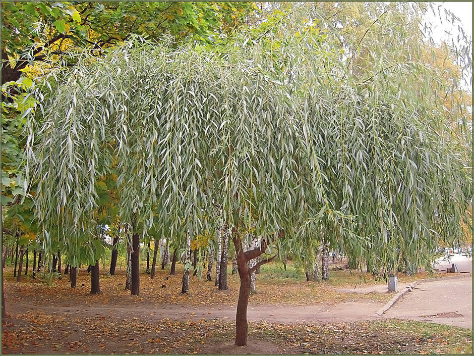 0500l9m4-fd68-940x705.jpg