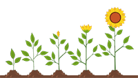 0500lc7e-55ef-306x174.png