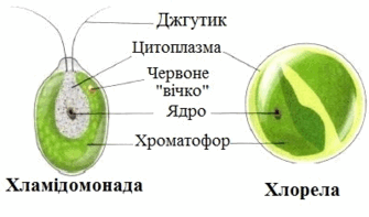 0500lcpw-9421-335x197.png