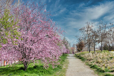 0500lg54-3a01-386x257.jpg