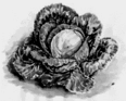 0500lib6-f9f5-116x93.png