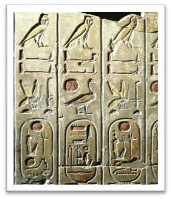 0500lll0-045a-335x390.png
