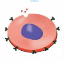 0500lm4i-1d6a-64x62.png