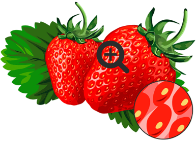 0500lmv0-e2da-385x278.png