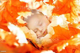 Стокове фото Осінній Новонароджений Сон Дитини Новонароджений Дитина Спить В Жовтому Опалому Листі Дитина Один Місяць — Завантажте зображення зараз - iStock