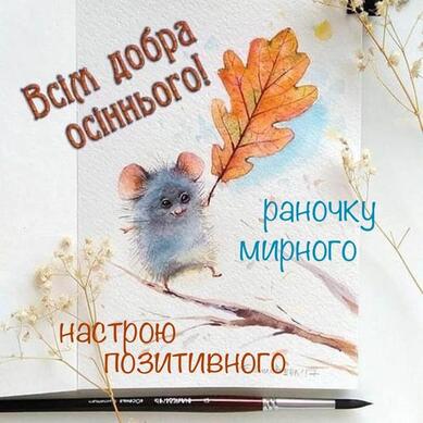 0500lt9f-00a5-389x389.jpg