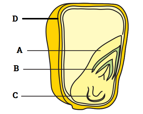 0500ltj6-28fd-479x381.png