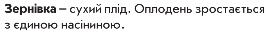 0500ltmi-ba97-940x121.png
