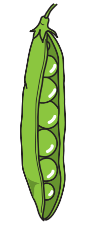 0500ltna-fe60-184x465.png