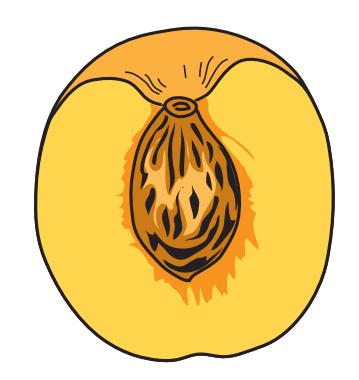 0500ltno-c403-359x380.png