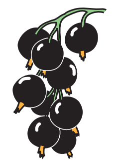0500lto3-7b59-245x332.png
