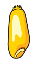 0500lton-6127-161x221.png