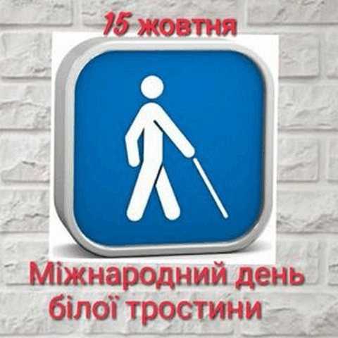 0500lu4n-17a9-480x480.png