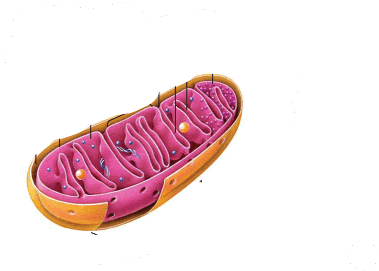0500lue6-e6d7-379x271.png