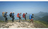 0500lytw-8046-156x94.png