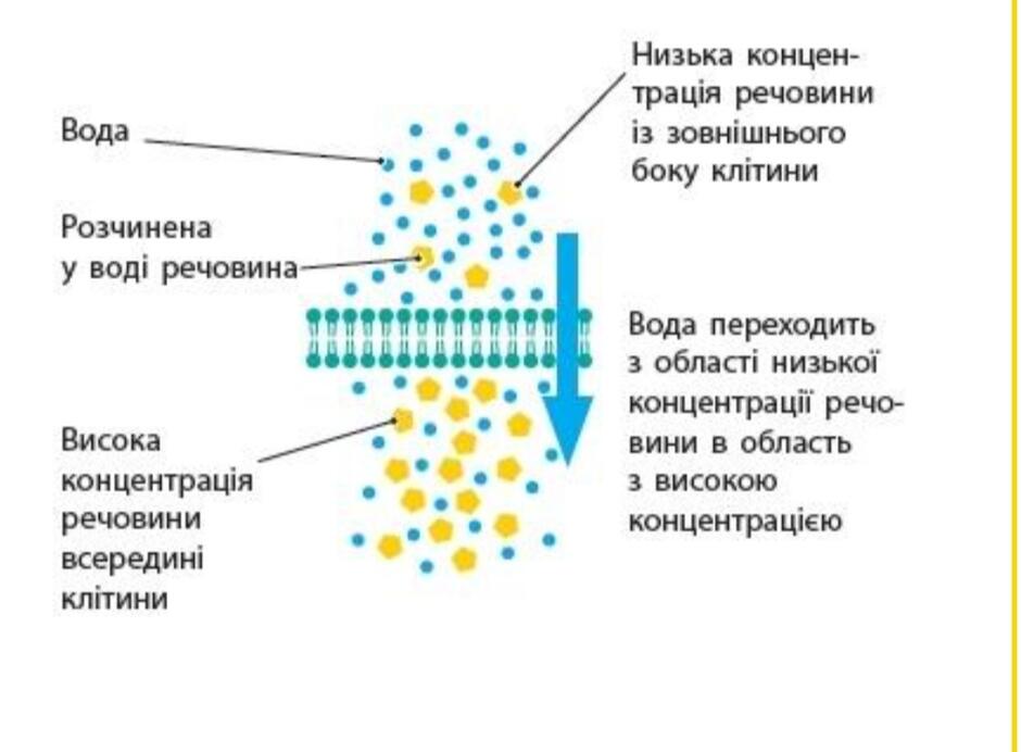 0500lzhh-a016-940x692.jpg