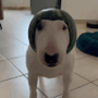 https://fs05.vseosvita.ua/0500m2ep-e709-90x90.png