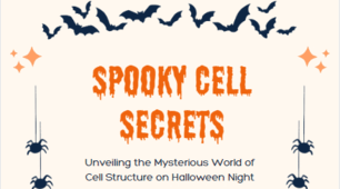 Spooky Cell Secrets — Halloween Drawing Activity Worksheet