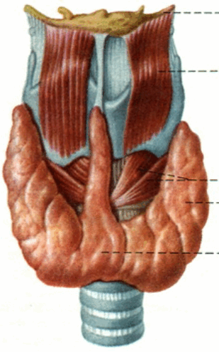 0500m5o7-87fd-309x495.png