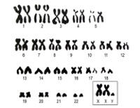 0500m64w-d76a-375x289.jpg