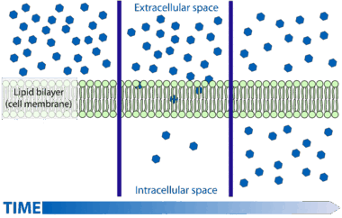 0500m6hw-9938-380x242.png