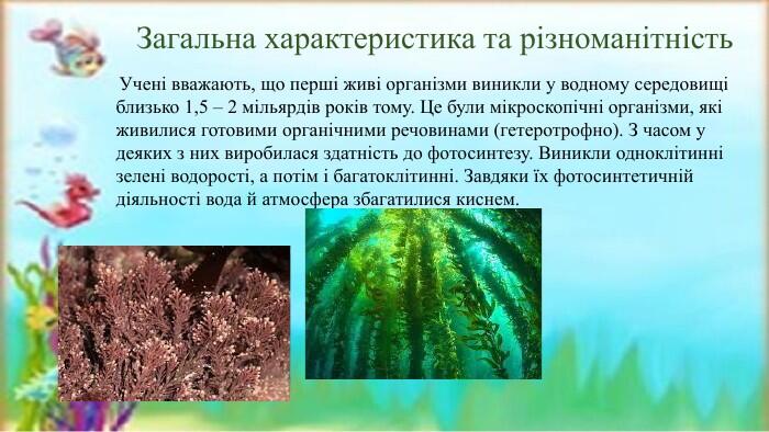 Презентація до уроку біології у 6 класі «Водорості (зелені, бурі, червоні)»
