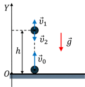 0500m7pi-1140-167x171.png