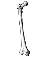 0500m9as-178d-164x198.png
