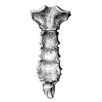 0500m9r4-9836-206x206.png