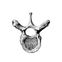 0500m9v5-6041-200x200.png