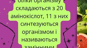 Їжа та її компонети. Інфографіка домашнього завдання. 8 клас