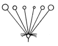 0500mfcp-26bf-120x95.png