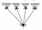 0500mfcv-8d90-162x117.png