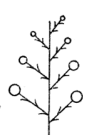 0500mfdg-4674-88x135.png